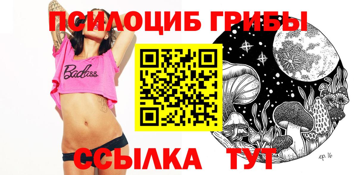 Псилоцибиновые грибы Psilocybe Оренбург