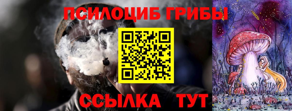 Галлюциногенные грибы Cubensis  Вход с VPN  Оренбург  Галлюциногенные грибы прущие грибы 